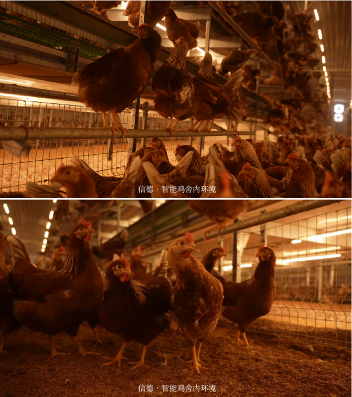 2025111815043467605238-1