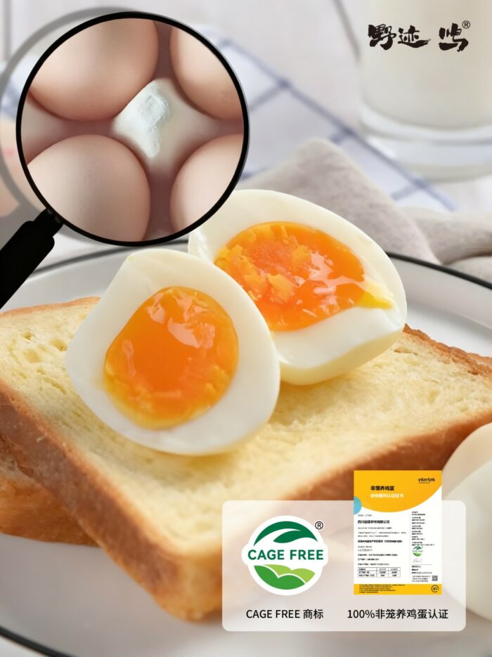 202511181508481157506245-1