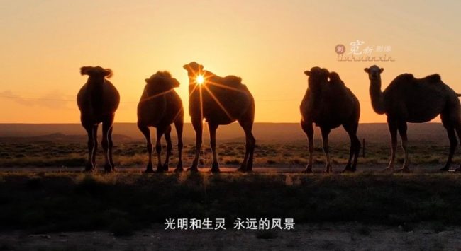 1767154330-1eed390b1d1abda