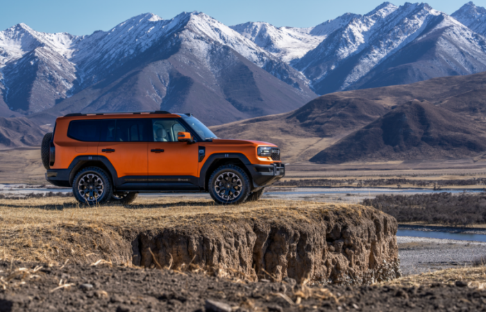 202601131644361566236846 202601131644361566236846