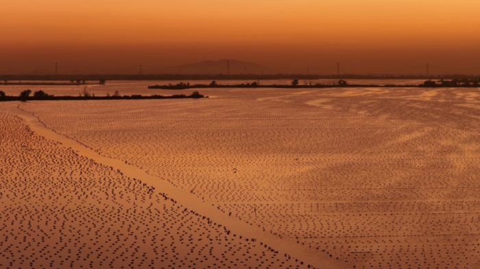 9dce2fcc2cee3601b0c7d02a48aa0a7e